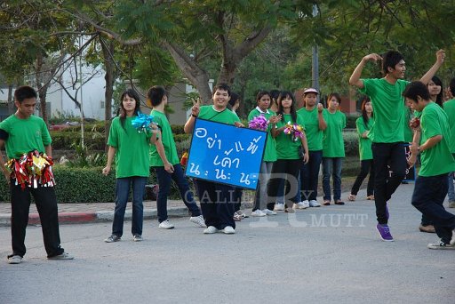 DSC_0147 - Copy (2).JPG